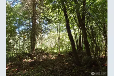 0 Salmon Creek Road, Mossyrock, WA 98564 - Photo 17