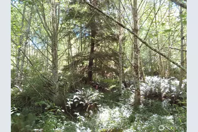 0 Salmon Creek Road, Mossyrock, WA 98564 - Photo 15