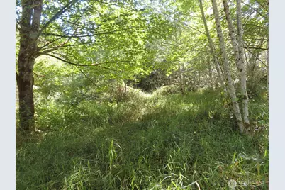 0 Salmon Creek Road, Mossyrock, WA 98564 - Photo 13