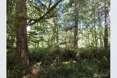 0 Salmon Creek Road, Mossyrock, WA 98564 - Photo 5