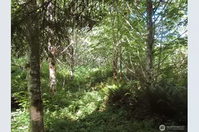 0 Salmon Creek Road, Mossyrock, WA 98564 - Photo 7