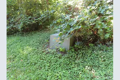 0 Salmon Creek Road, Mossyrock, WA 98564 - Photo 19