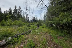 0 Lot 2 Nelson View Way, Cle Elum, WA 98922 - Photo 37