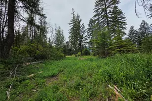 0 Lot 2 Nelson View Way, Cle Elum, WA 98922 - Photo 35