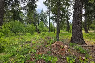 0 Lot 2 Nelson View Way, Cle Elum, WA 98922 - Photo 27