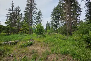 0 Lot 2 Nelson View Way, Cle Elum, WA 98922 - Photo 33