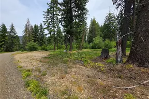 0 Lot 2 Nelson View Way, Cle Elum, WA 98922 - Photo 39