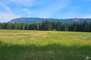 0 Lot 4 Darling Way, Cle Elum, WA 98922 - Photo 29