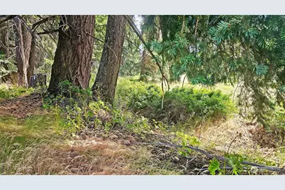 0 Lot 4 Darling Way, Cle Elum, WA 98922 - Photo 11