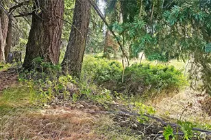 0 Lot 4 Darling Way, Cle Elum, WA 98922 - Photo 11