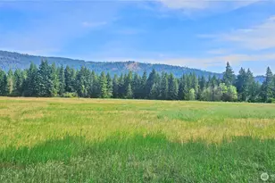 0 Lot 4 Darling Way, Cle Elum, WA 98922 - Photo 27