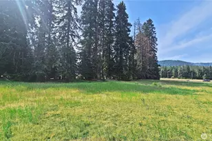 0 Lot 4 Darling Way, Cle Elum, WA 98922 - Photo 9