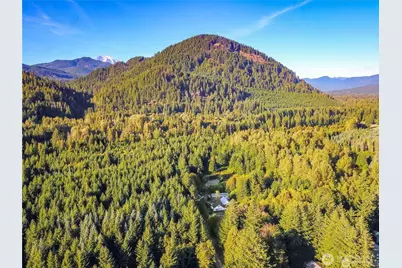 202 Kauer Road, Randle, WA 98377 - Photo 17