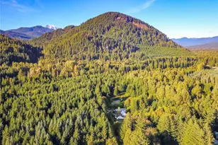 202 Kauer Rd, Randle, WA 98377 - Photo 17