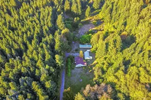 202 Kauer Rd, Randle, WA 98377 - Photo 15