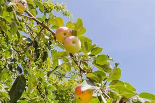 4540 NW Inverness Ct, Bremerton, WA 98312 - Photo 17