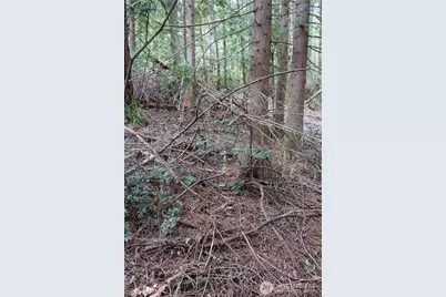 3659 Green Mountain Road NW, Bremerton, WA 98312 - Photo 21