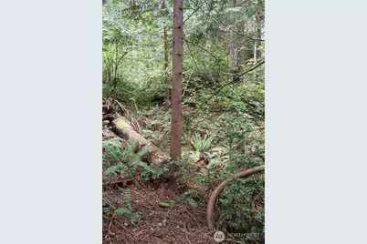 3659 Green Mountain Road NW, Bremerton, WA 98312 - Photo 23