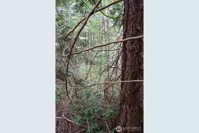 3659 Green Mountain Road NW, Bremerton, WA 98312 - Photo 25