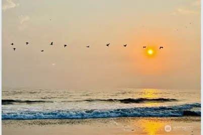 1600 W Ocean Avenue W #1019, Westport, WA 98595 - Photo 33