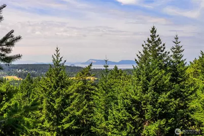 279 Parker Reef Road, Orcas Island, WA 98245 - Photo 5
