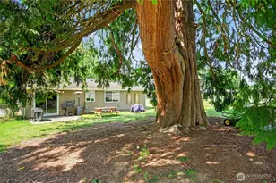 11217 N Skagit St, Burlington, WA 98233 - Photo 35