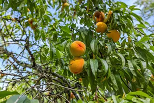 7589 Bailey Rd, Clinton, WA 98236 - Photo 39