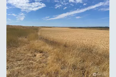 35251 Crescent Road N #2, Reardan, WA 99029 - Photo 15