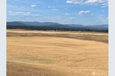 35251 Crescent Road N #2, Reardan, WA 99029 - Photo 5