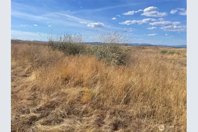 35251 Crescent Road N #2, Reardan, WA 99029 - Photo 7