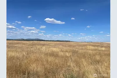 35251 Crescent Road N #3, Reardan, WA 99029 - Photo 1