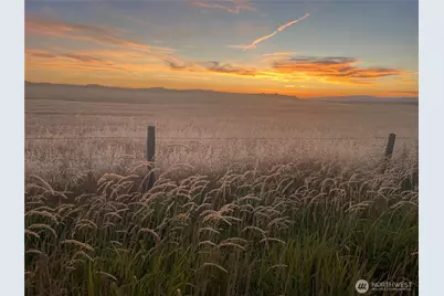 35251 Crescent Road N #4, Reardan, WA 99029 - Photo 5