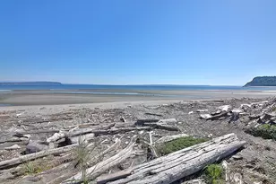 2445 Discovery Pl, Langley, WA 98260 - Photo 39