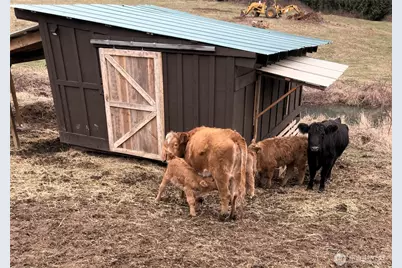 25451 Lake Cavanaugh Road, Mount Vernon, WA 98274 - Photo 37