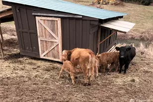 25451 Lake Cavanaugh Rd, Mount Vernon, WA 98274 - Photo 37