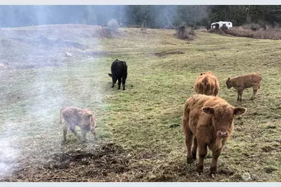 25451 Lake Cavanaugh Road, Mount Vernon, WA 98274 - Photo 39