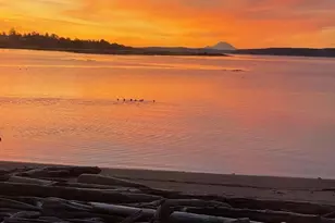 651 SE Bayshore Dr, Oak Harbor, WA 98277 - Photo 39