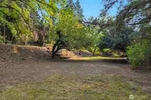 19331 37th Ave NE, Lake Forest Park, WA 98155 - Photo 5