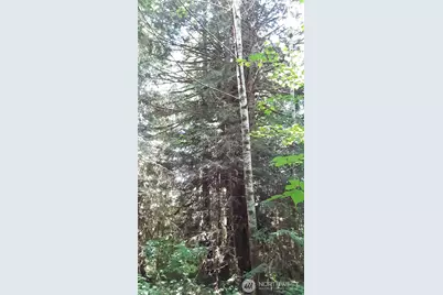 0 236Xxx Us-101, Port Angeles, WA 98363 - Photo 17