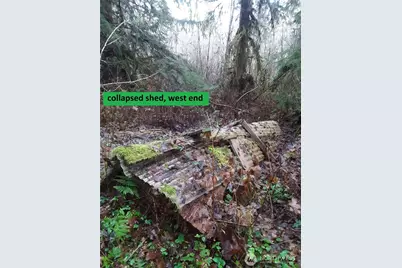 0 236Xxx Us-101, Port Angeles, WA 98363 - Photo 29