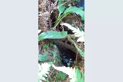 0 236Xxx Us-101, Port Angeles, WA 98363 - Photo 13