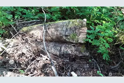 0 236Xxx Us-101, Port Angeles, WA 98363 - Photo 23