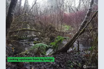 0 236Xxx Us-101, Port Angeles, WA 98363 - Photo 33