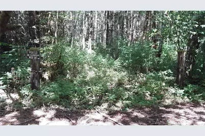 0 236Xxx Us-101, Port Angeles, WA 98363 - Photo 7