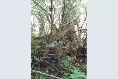 0 236Xxx Us-101, Port Angeles, WA 98363 - Photo 25