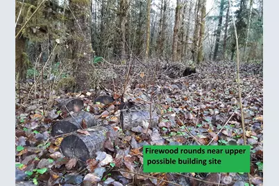 0 236Xxx Us-101, Port Angeles, WA 98363 - Photo 27