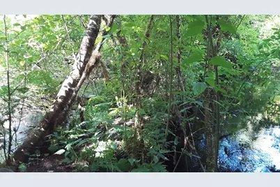 0 236Xxx Us-101, Port Angeles, WA 98363 - Photo 11