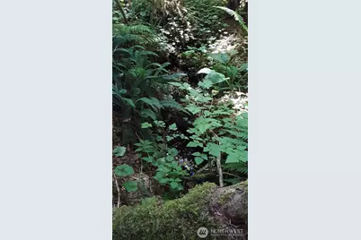 0 236Xxx Us-101, Port Angeles, WA 98363 - Photo 15