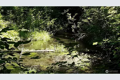 0 236Xxx Us-101, Port Angeles, WA 98363 - Photo 1