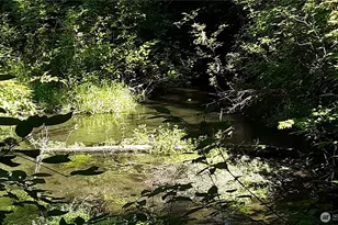 236999 US-101, Port Angeles, WA 98363 - Photo 1